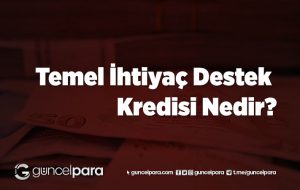 Temel İhtiyaç Destek Kredisi Nedir?