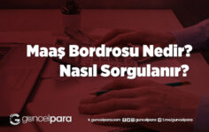 Maaş Bordrosu Nedir, Nasıl Sorgulanır?