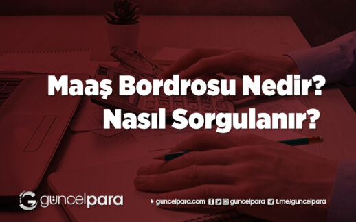 Maaş Bordrosu Nedir, Nasıl Sorgulanır?