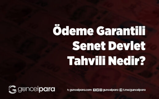Ödeme Garantili Senet Devlet Tahvili Nedir?